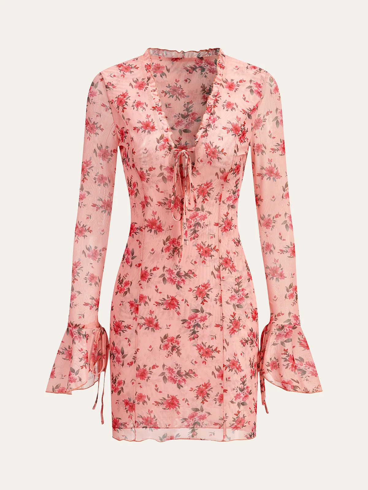Rosabella Sheer Blossom Dress