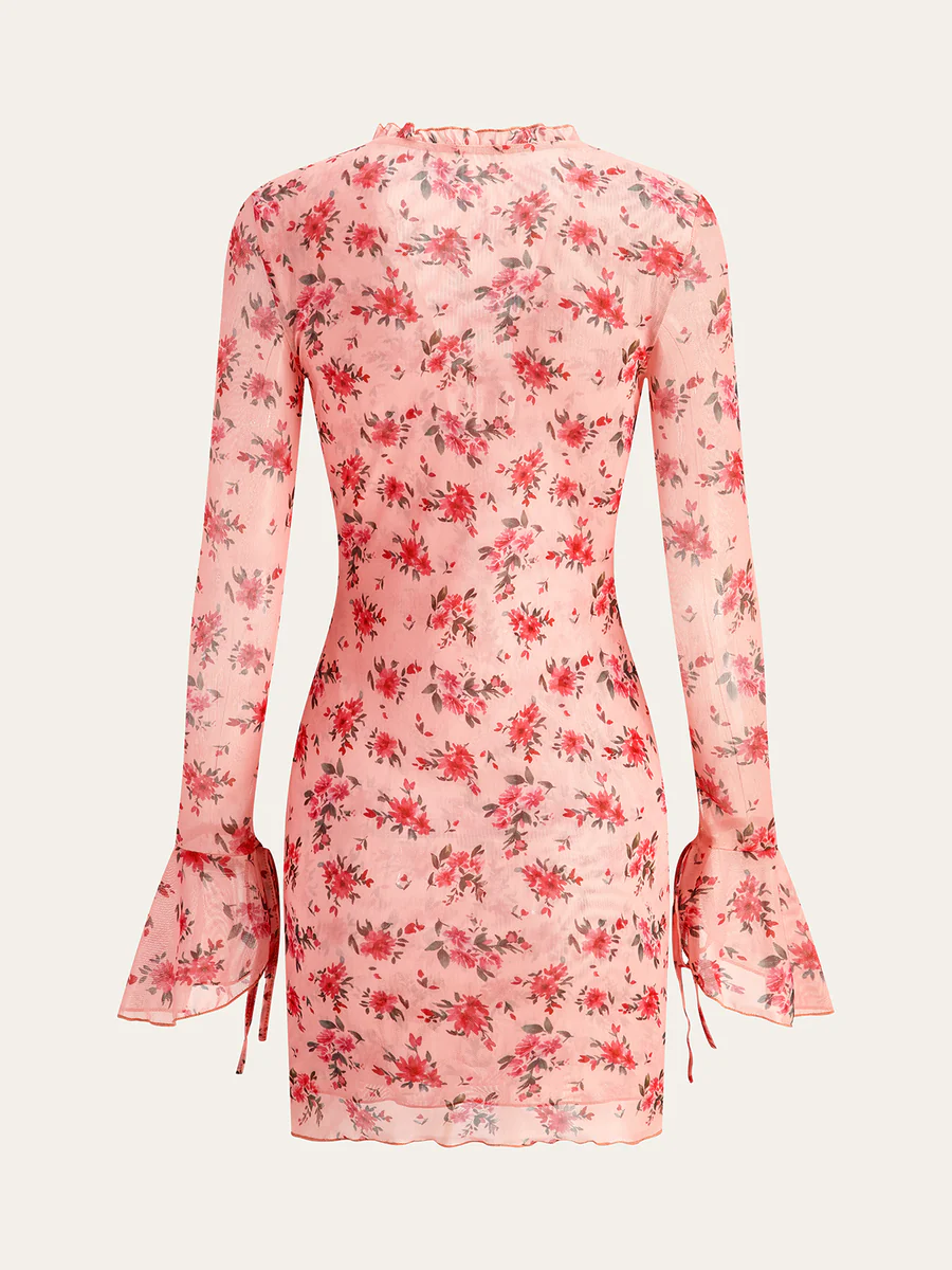 Rosabella Sheer Blossom Dress