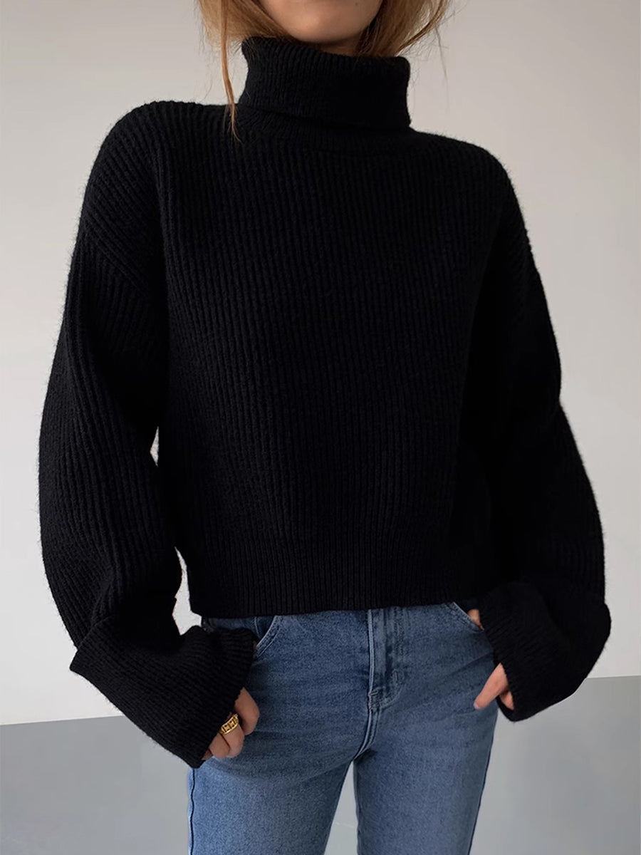 Over Size Turtleneck Sweater